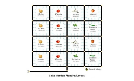 How to Grow a Salsa Garden + Salsa Garden Layout