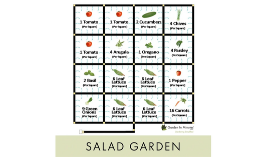 Grow a Salad Garden - Guide + Salad Garden Layout