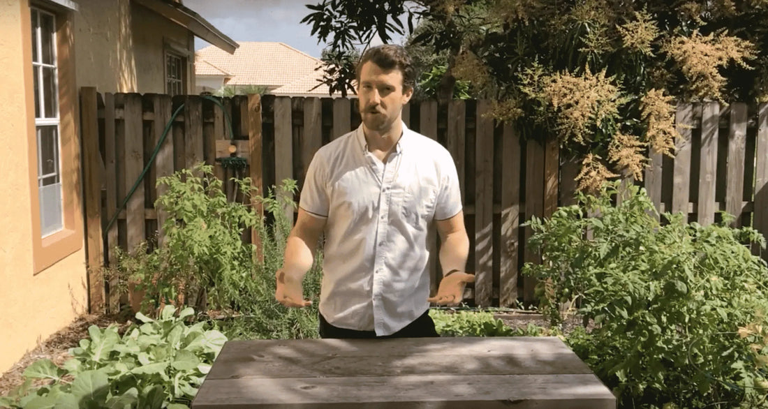 How to Ensure Your Rain Barrel Provides Enough Water to Your Garden – Easy Growing Ep. #23