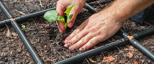 Connecting Garden Grids™ To Sprinkler or Irrigation Lines