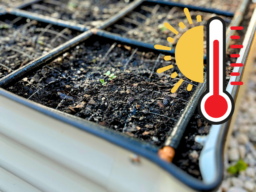 How to Help Your Garden Beat the Heat: Water, Mulch & Cover ☀️🌿
