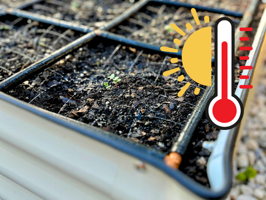 How to Help Your Garden Beat the Heat: Water, Mulch & Cover ☀️🌿