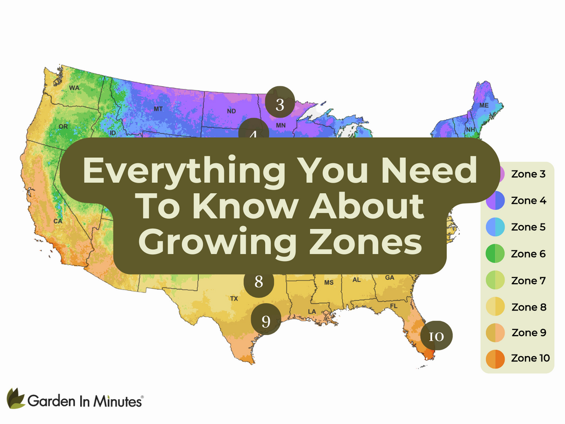 Find Your Growing Zone – Search Tool, Map, Planting Calendars & More