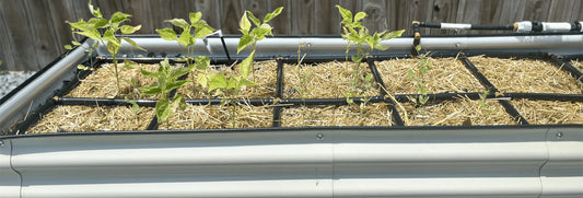 Mulch Above Or Below The Garden Grid™? Plus, Why Mulch Can Help.