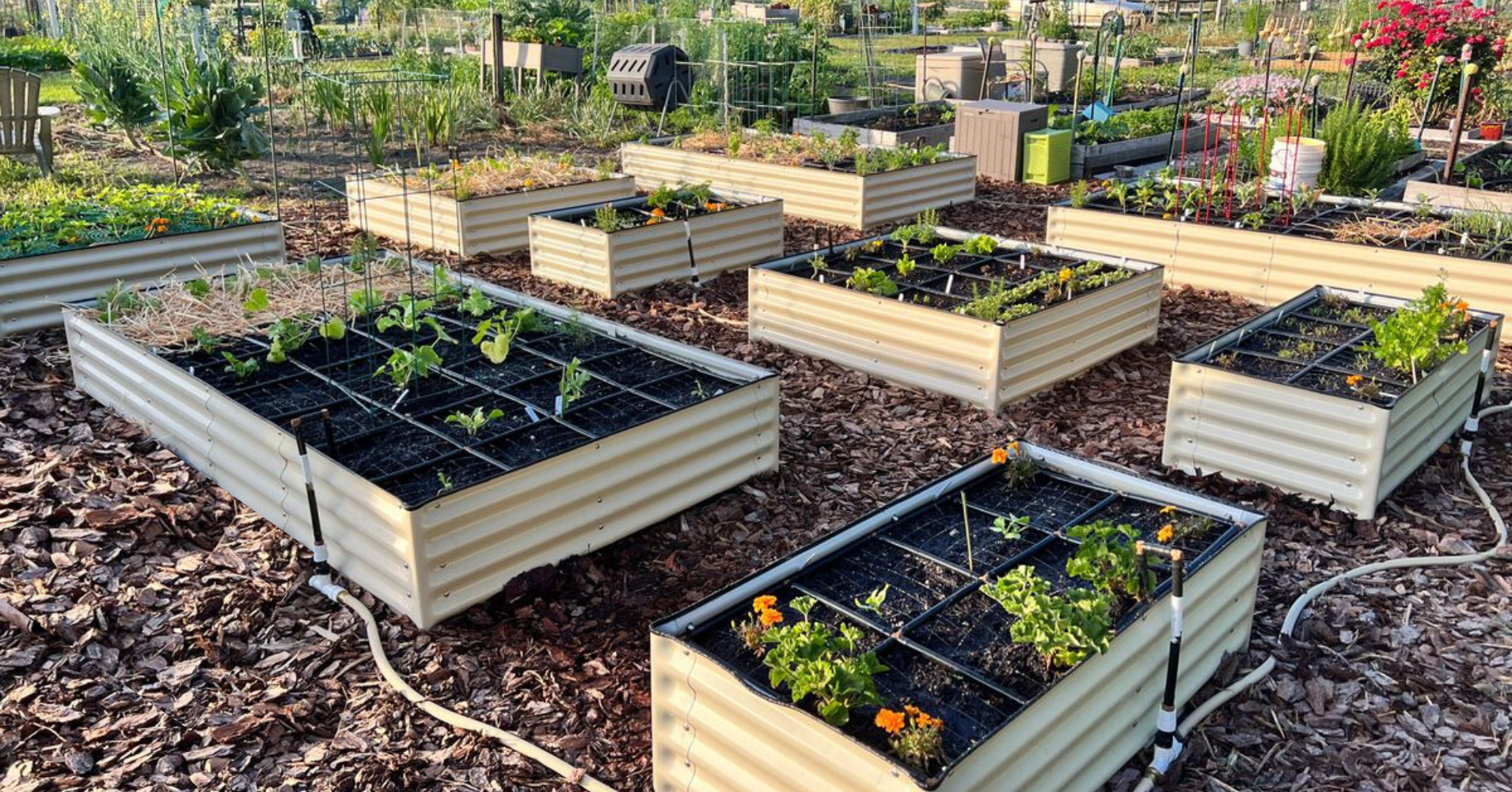 How Many Garden Grids™ Can Water At One Time? – Garden In Minutes®