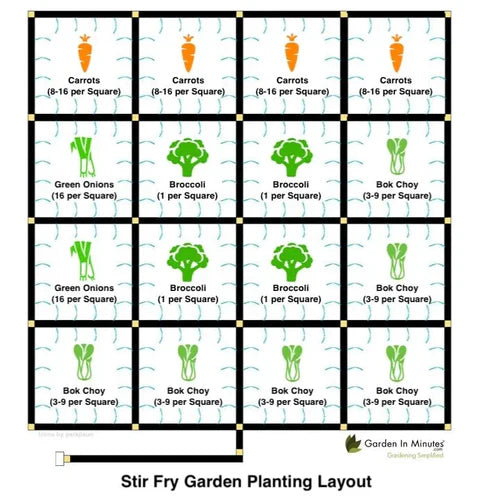 How to Grow a Stir Fry Garden