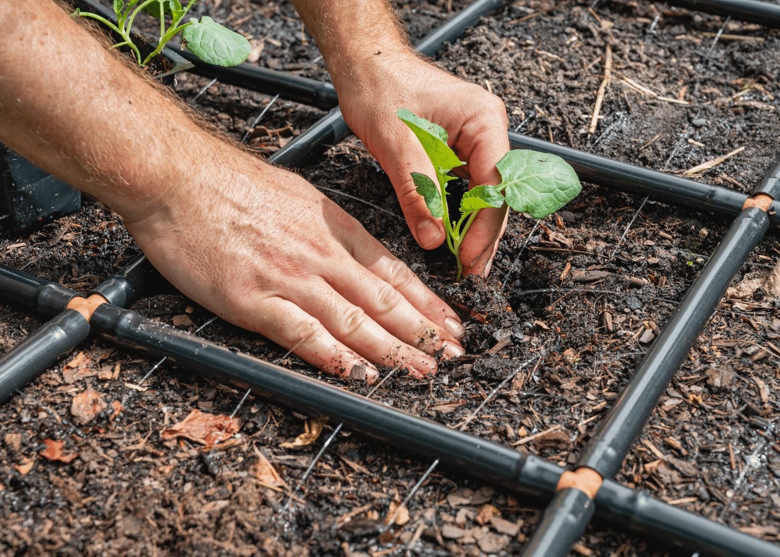 Garden Grids™