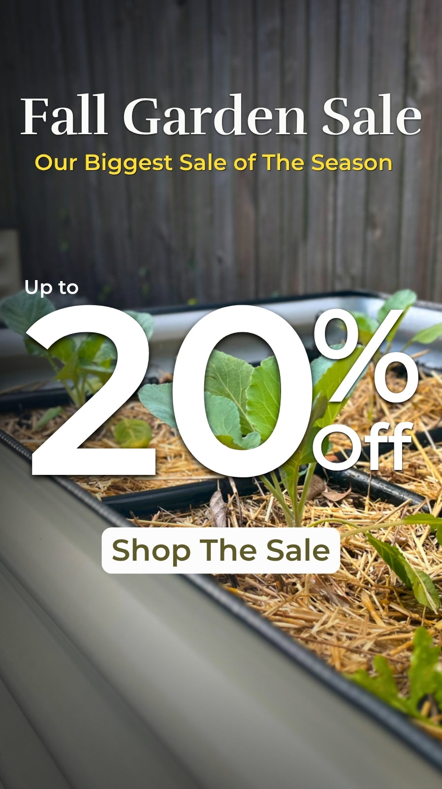 Promotional banner for a 'Fall Garden Sale' featuring large white text reading 'Up to 20% Off' and 'Shop The Sale' over a background photo of small green garden plants in a planter box against a wooden fence.