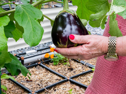 2x9 Garden Grid™ Watering System