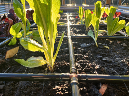 4x6 Garden Grid™ Watering System