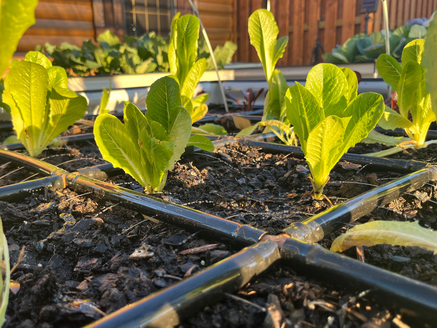 3x4 Garden Grid™ Watering System