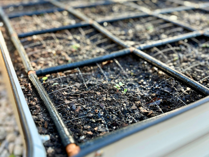 3x8 Garden Grid™ Watering System