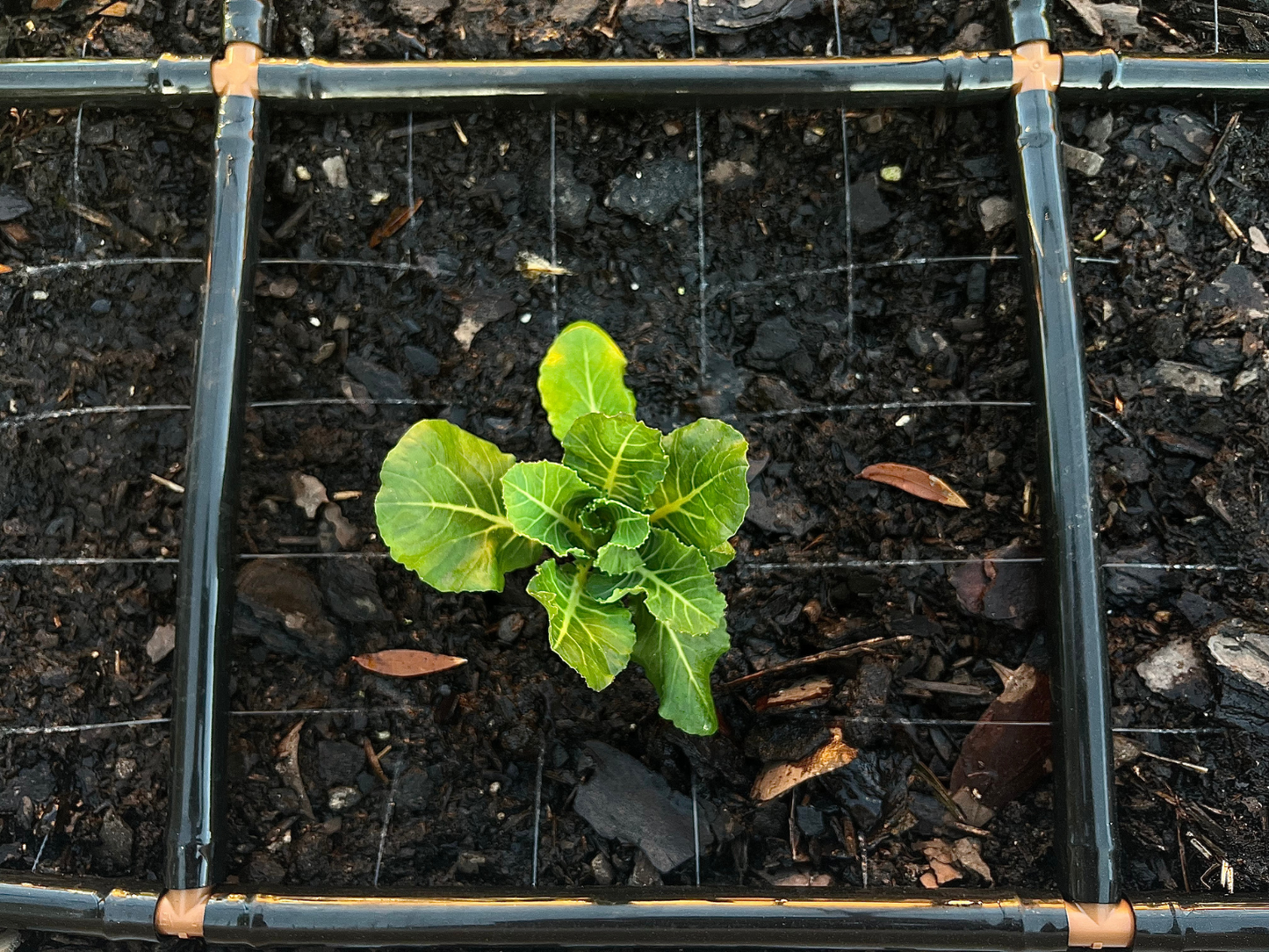 4x5 Garden Grid™ Watering System