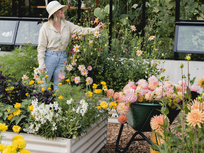 17" Tall, All-In-One Raised Garden Bundles