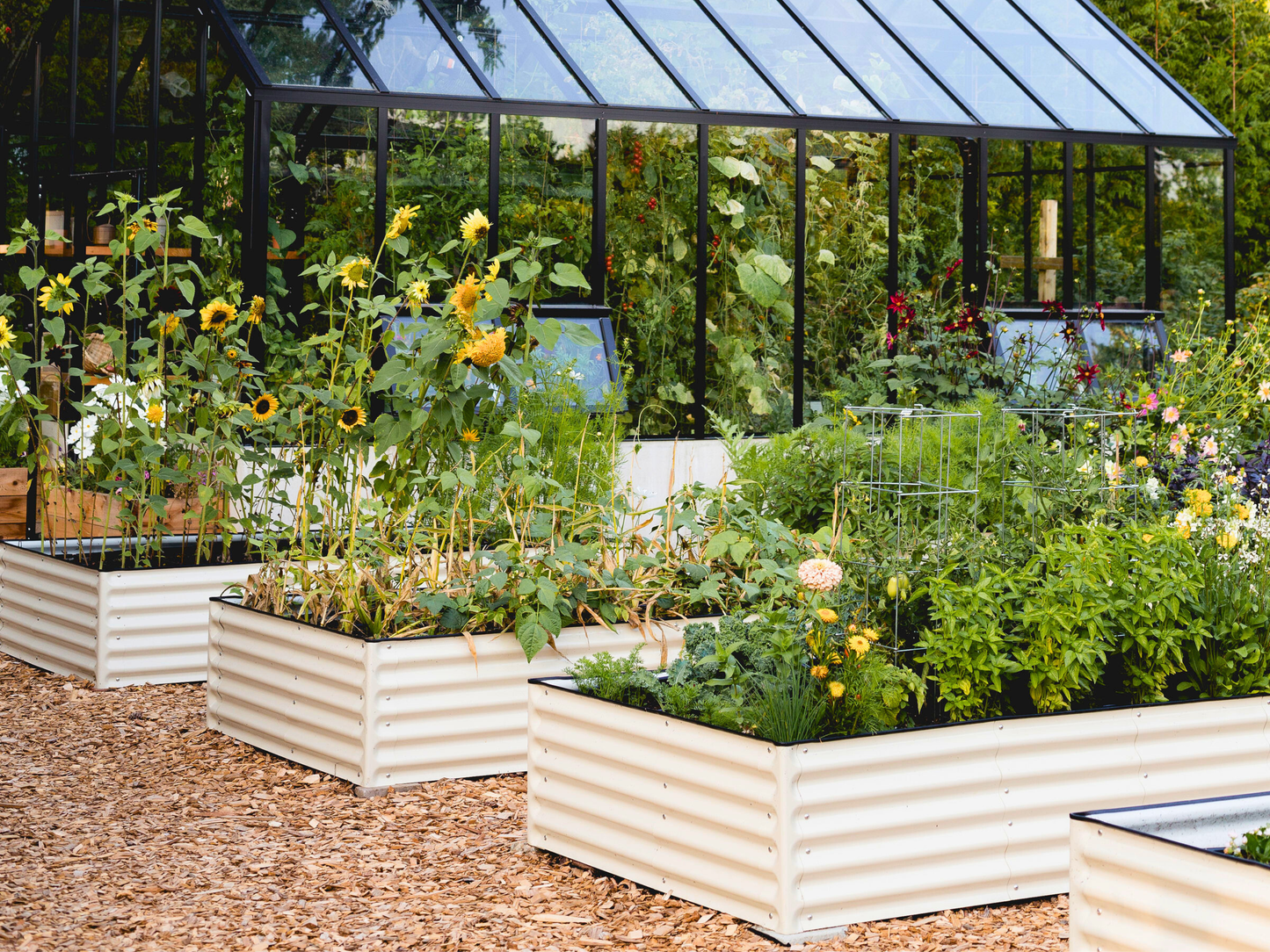 Greenhouse with raised garden beds filled with plants and flowers