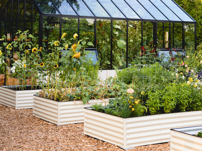 Greenhouse with raised garden beds filled with plants and flowers