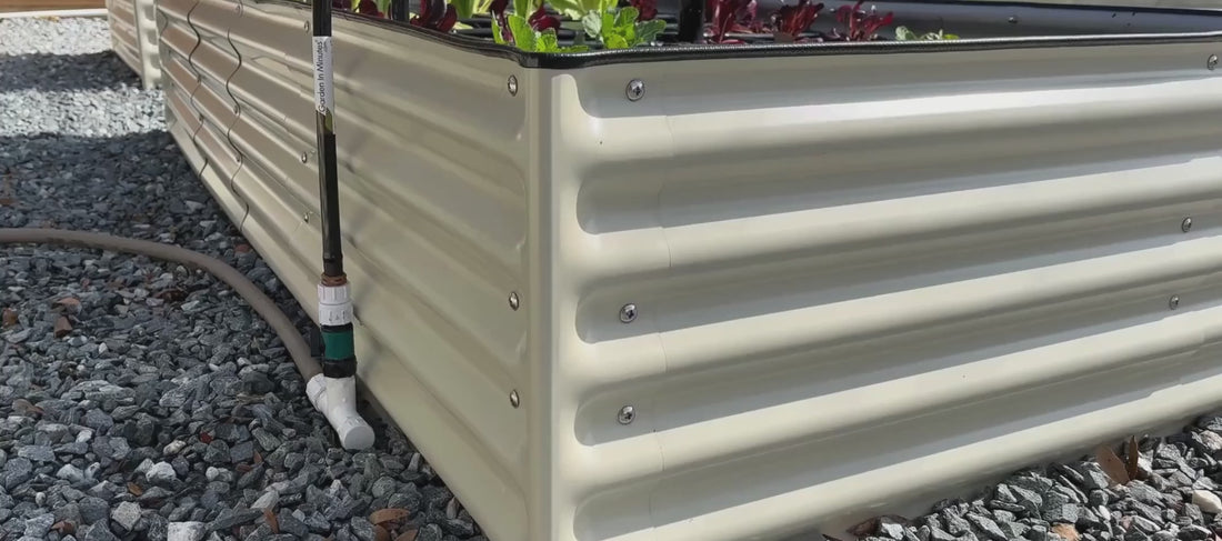 no audio. Zoom out of Raised Garden Bed with a Garden Grid watering system  with  plants growing inside the garden. Cut to the Garden Grid gently watering plants growing in soil in a raised garden bed. View of multiple garden beds with Garden Grids filled with growing plants