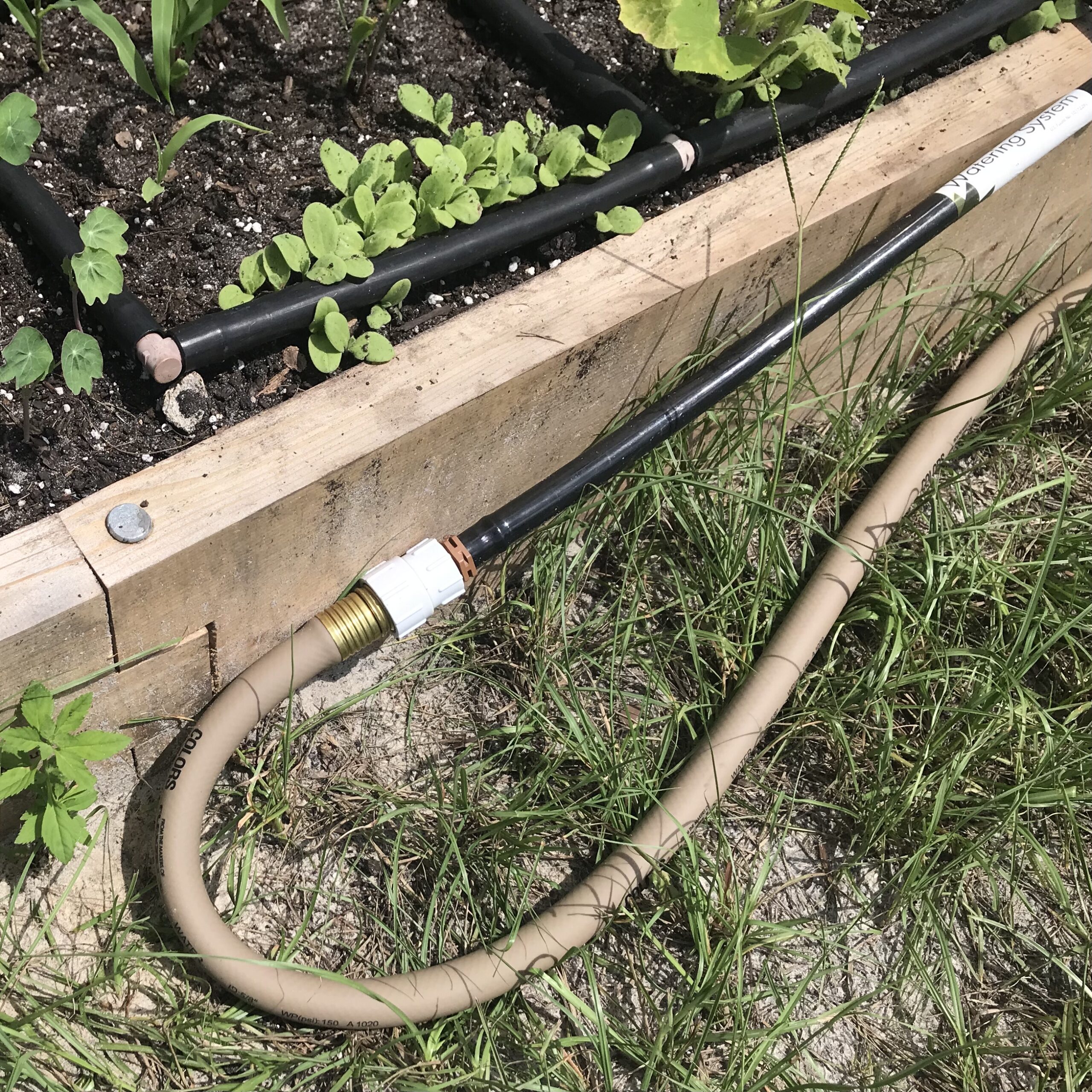 50 ft. 1/2″ Garden Hose for DIY Above Ground Irrigation Garden