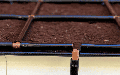 All About Square Foot Gardening
