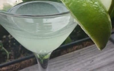 Garden to Cocktail: Cucumber Gin Gimlet