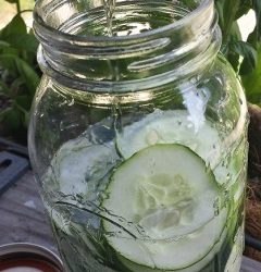 Cucumber Infused Gin Recipe