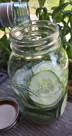 Cucumber Infused Gin Recipe