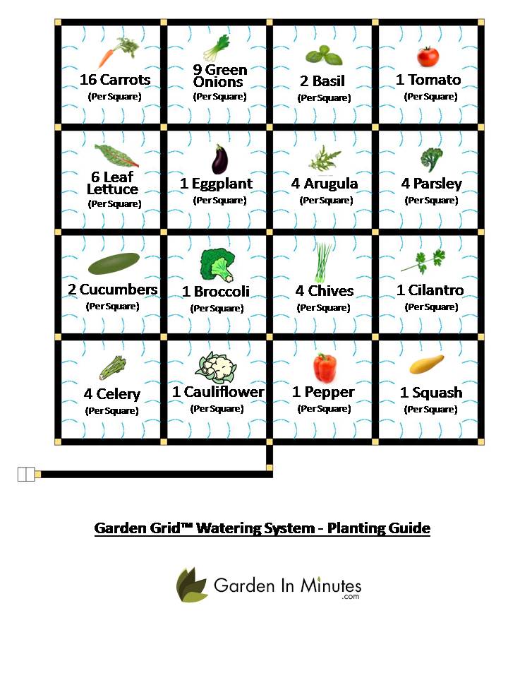 Comprehensive Plant Spacing Chart & Plant Spacing Guide