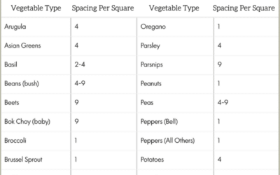 Plant Spacing Guide Planting Chart Square Foot Gardening 2
