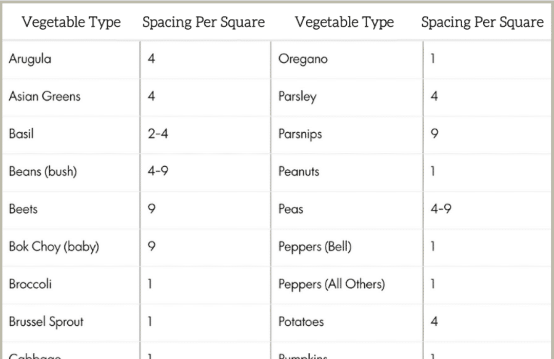 DIY Seed Spacing Template - The garden!