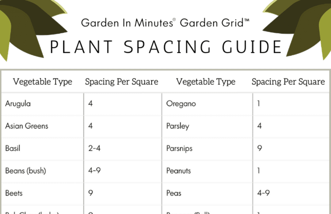 Plant Spacing Guide Planting Chart Square Foot Gardening