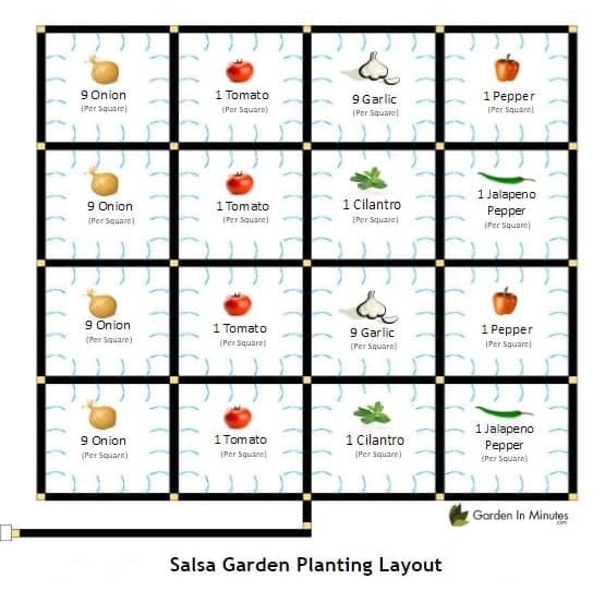 Salsa Garden Layout | How to Grow a Salsa Garden