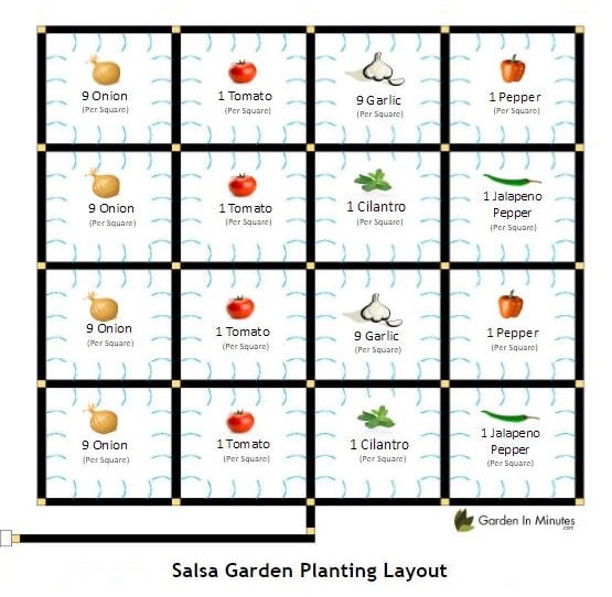 Salsa Garden Layout Planting Guide