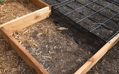 Expanding Your Garden Bed – Easy Growing Episode #1