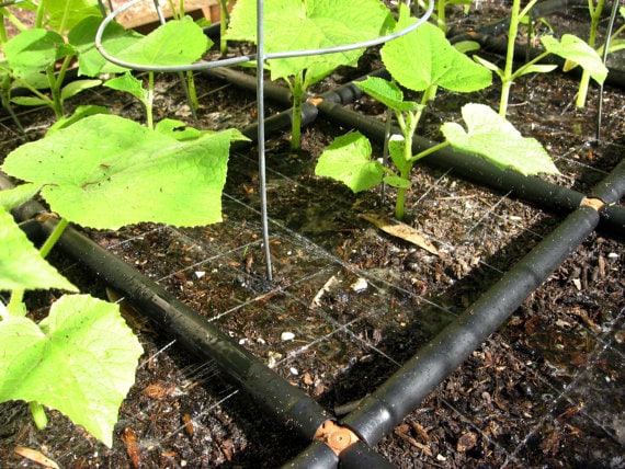 The Garden Grid™ Watering System - 2x7