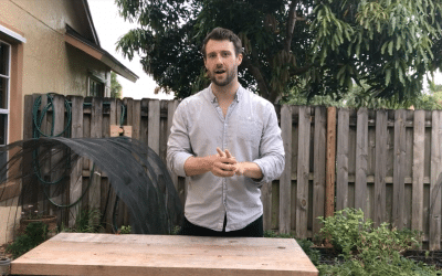 The Simple Answer for What to Grow in Your Summer Garden – Easy Growing Episode #14