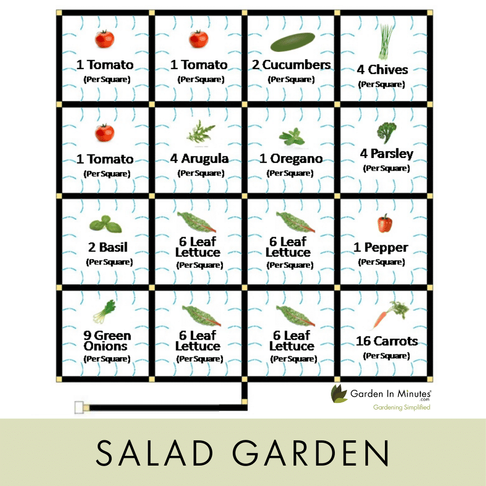 Salad Garden Planting Guide