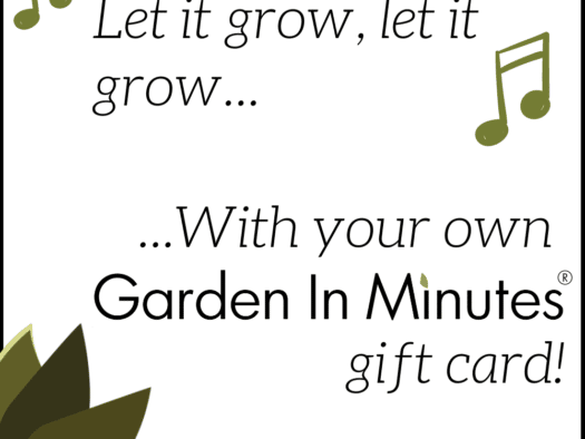 Garden In Minutes Gift Card Let It Grow Gardening