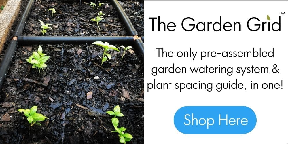 square foot gardening Garden Grid Plant Spacing Guide and Watering Systeme