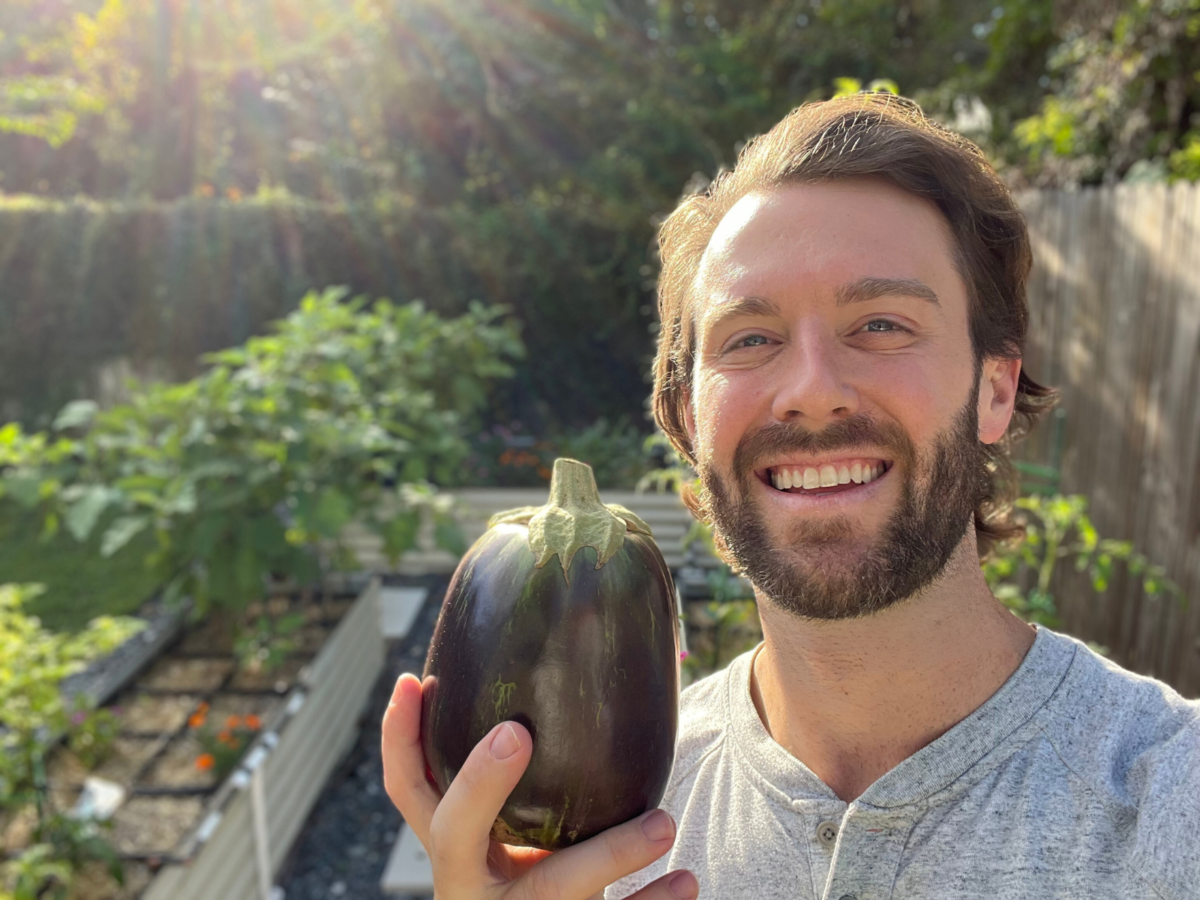 Bryan Harvesting Eggplant From GIM Raised Garden Bed Bundles