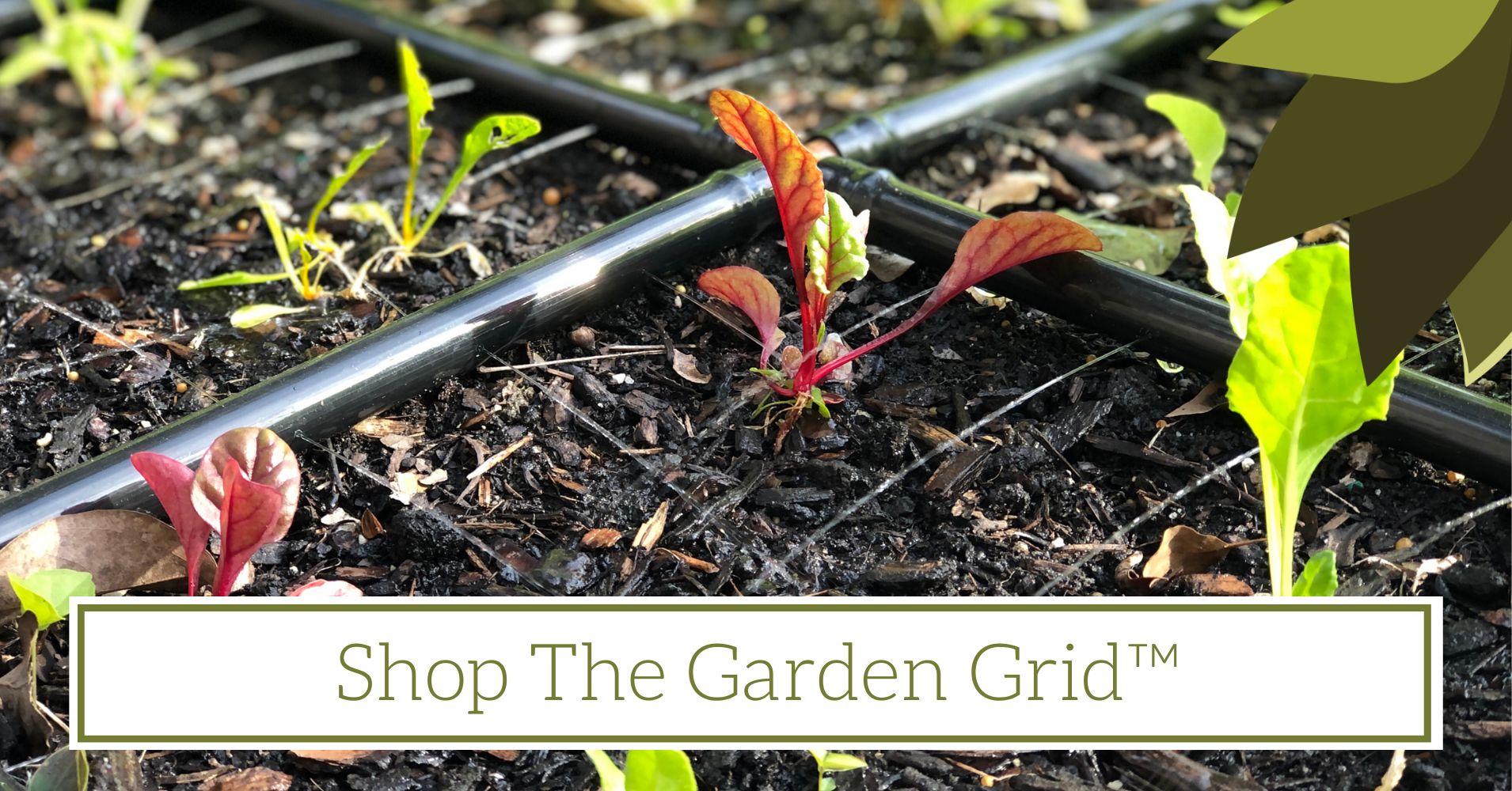 Shop The Garden Grid