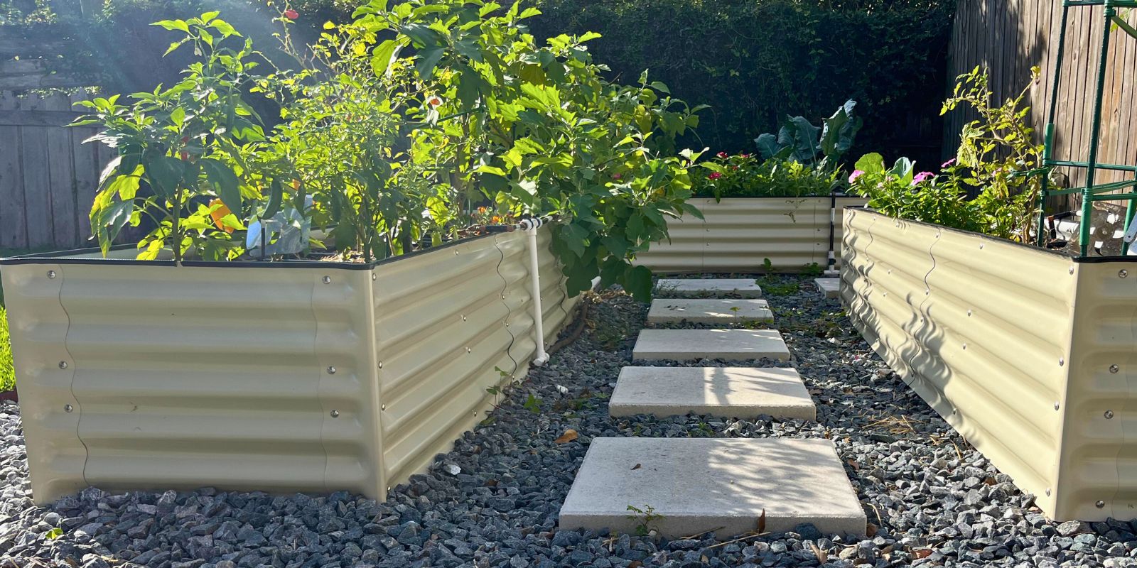 Raised Garden Bed Planning For Successful Crops