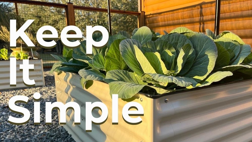 Raised Bed Gardening Mistake: Planting Too Many Different Things. Keep It Simple To Start