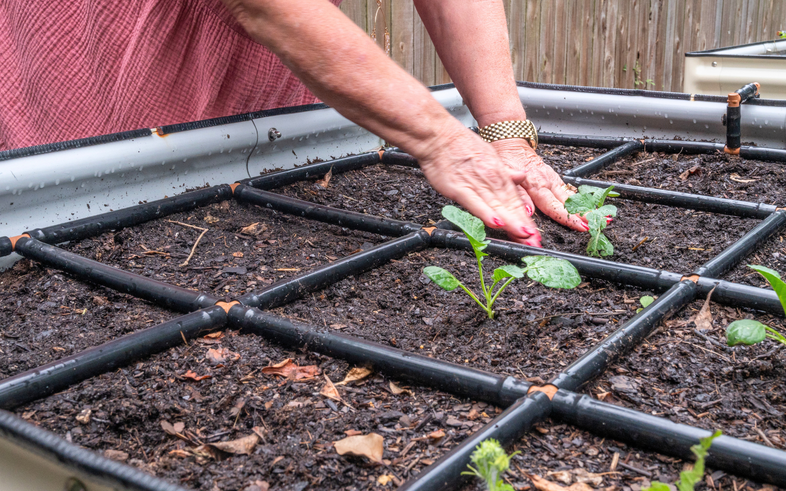 Grow in raised beds that are no more than 4ft wide so you can reach the middle. 5 Raised Garden Bed Mistakes To Avoid Garden Bed Width