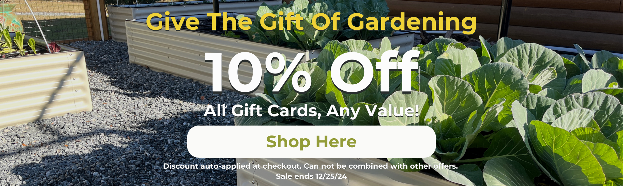 Gift Card Sale 2024 Shop Page